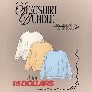 SWEAT SHIRT BUNDLE— THREE INCLUDED RARELY WORN